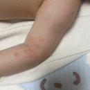 아기 민감성 피부 아임낫어베이비 유기농 인증 수딩 로션 사용 후기