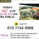 용인능원약국 이미지