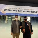 태산 이미지