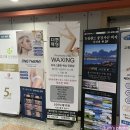 더퀸왁싱