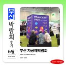 2026 부산 차공예박람회 후기 사전등록하고 무료 입장!