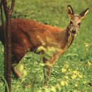 경희당한의원 이미지