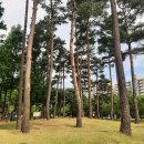 함지노인복지관 | 요양보호사 실습 후기와 노인성 치매