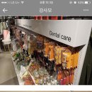 강남애견백화점 이미지