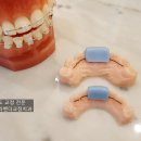 연세라벤더치과교정과치과의원 이미지