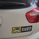 분당-22 | [분당 운전연수] 오강사님 22시간 연수 후기