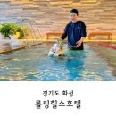 [아기랑 호캉스] 롤링힐스호텔 수영장 사우나 키즈존 치킨