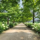 낙동강관리본부-1 이미지