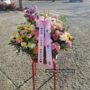 구지연합내과의원 이미지