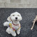 멍 핏 스튜디오 이미지