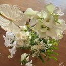 (주)다하리 | 웨딩 촬영 부케💐하남 꽃집 오드 플로드 ODD FLOD🌼 야외촬영이라면 부케 3종(메인,서브,미니)은 필수...