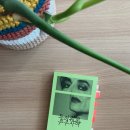 임도울