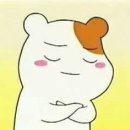 꼬추 이미지