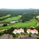 라온골프 이미지