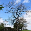 칠석농장 이미지