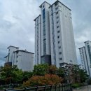 이진수정형외과의원 이미지