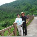 박영숙농장 이미지