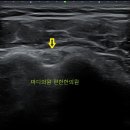 마디의원, 편한한의원 이미지