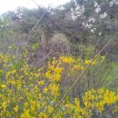 하늘숲황토펜션 이미지