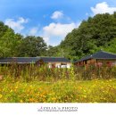 영화5길 이미지