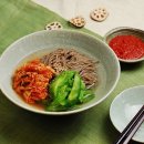 농촌메밀막국수 네이버블로그