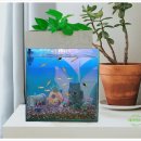 비케이팜 이미지