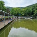 비봉 낚시터 이미지