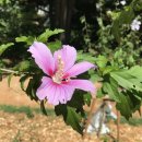 서울국유림관리소 이미지