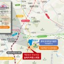 숲속의아침2 이미지