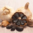 땡큐시니어 건강의료기 | 풀마루 흑마늘진액 개봉 후기, 60대 남편의 건강한 정년 준비