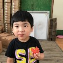 은준농장 이미지