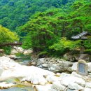 연(주)