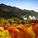 황산공원 이미지