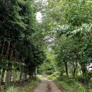 남면 홍현(숙호숲) 화장실 | 바래길 10코스) 남해바래길탐방안내센터-미국마을-두곡월포해변-홍현마을 석방렴-가천다랭이마을 여행기록