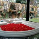 드림랜드 이미지