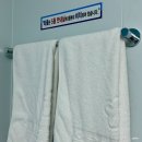 무박 2일 울릉도 출장기 / 울릉크루즈, 대저페리 후기