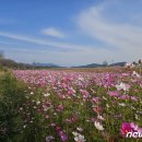 백곡천1 이미지