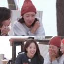 무해 이미지