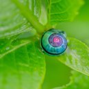 달팽이꿈놀이터 이미지