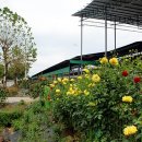 진리농장 이미지