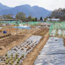 고산농장 이미지