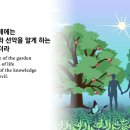 창세기 2장(일곱째 날 안식, 생명나무,선악을 알게 하는 나무, 아담과 하와 ) 이미지