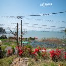 티롤978 | 여수펜션 l 미리 다녀온 여름휴가 l 여수바닷가펜션 l 가족·단체여행 추천 l 티롤펜션 후기