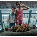 (공연) 어린이 뮤지컬 <목 짧은 기린 지피>2 이미지