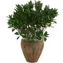 러브발렌타인 이미지