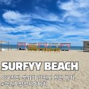 여주-0695 | [공지] 강원도 핫한 비치! 해외 감성 그대로 서피비치