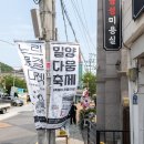 마켓올 | 밀양 느린물결마켓에서의 인디밴드 올옷 공연 후기