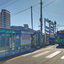 야성초등학교 앞 이미지