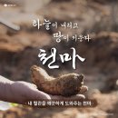 천마약품 이미지