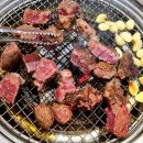 전국목장연합 이미지